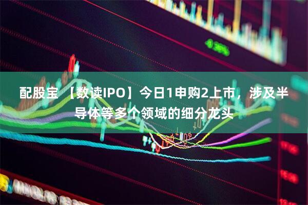 配股宝 【数读IPO】今日1申购2上市，涉及半导体等多个领域的细分龙头