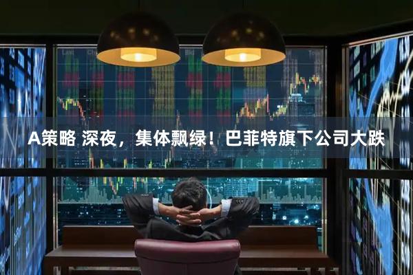 A策略 深夜，集体飘绿！巴菲特旗下公司大跌