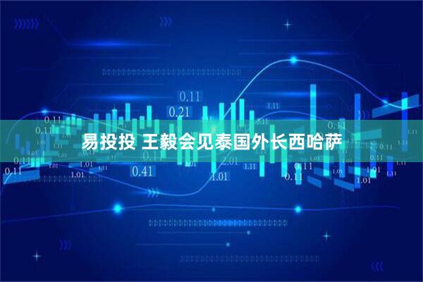 易投投 王毅会见泰国外长西哈萨