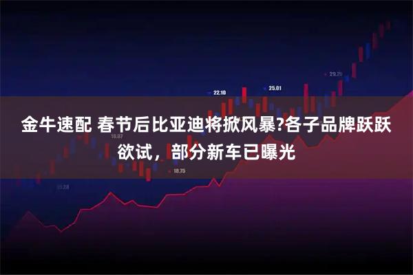 金牛速配 春节后比亚迪将掀风暴?各子品牌跃跃欲试，部分新车已曝光