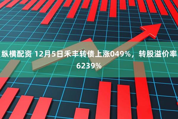 纵横配资 12月5日禾丰转债上涨049%，转股溢价率6239%