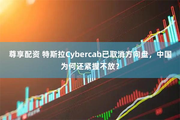 尊享配资 特斯拉Cybercab已取消方向盘，中国为何还紧握不放？